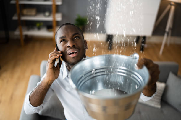 Best Water damage cleanup near me  in Thornwood, NY